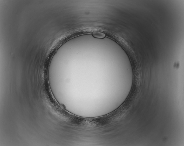 X0000115760207200911271124