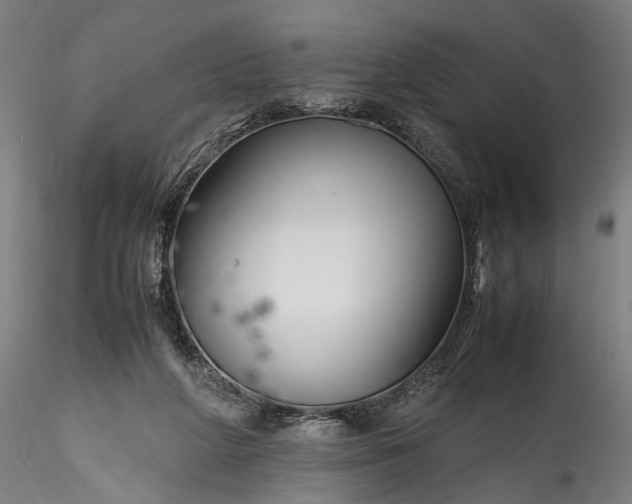 X0000115760210200911271124