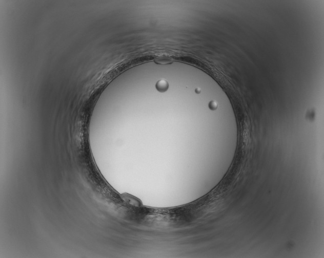 X0000115760211200911271124