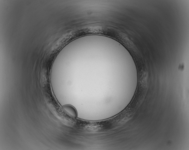 X0000115760213200911271124