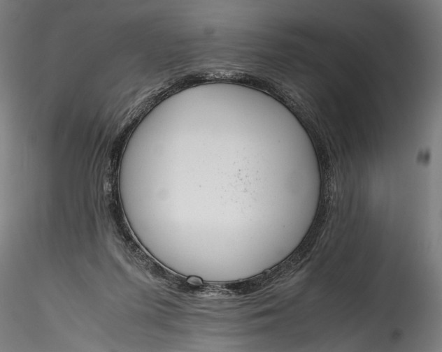 X0000115760215200911271124