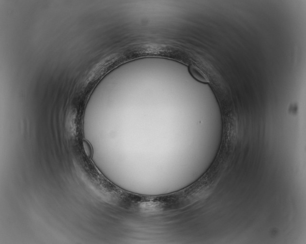 X0000115760216200911271124