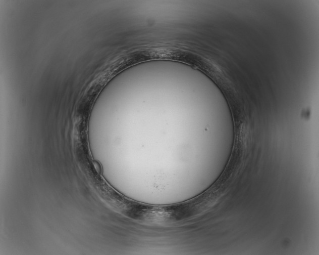 X0000115760217200911271124