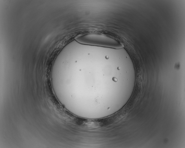 X0000115760221200911271124