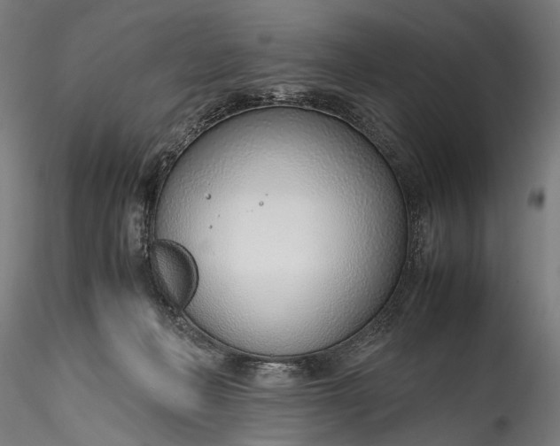 X0000115760222200911271124