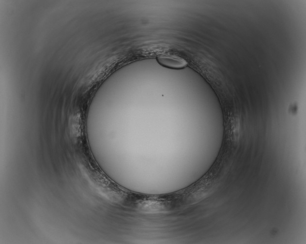 X0000115760224200911271124