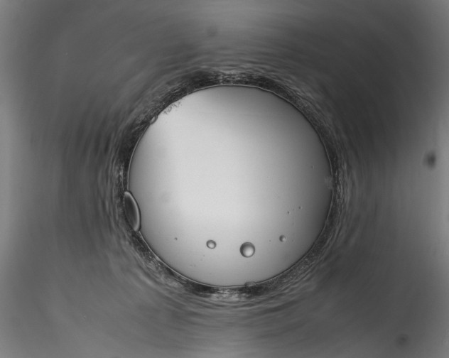 X0000115760225200911271124