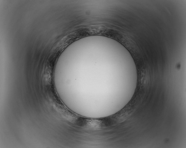 X0000115760226200911271124