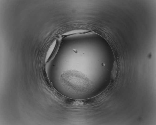 X0000115760227200911271124