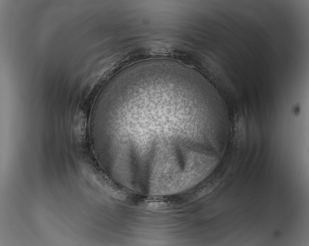 X0000115760228200911271124