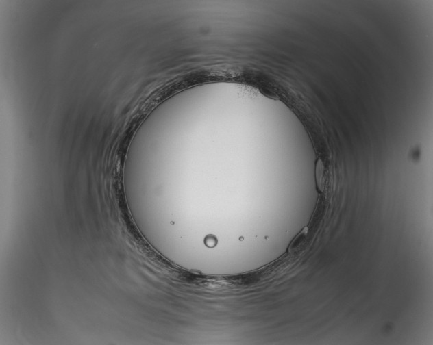 X0000115760229200911271124