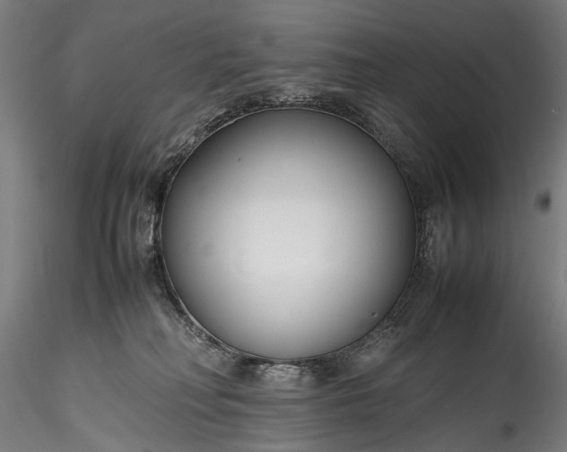 X0000115760230200911271124