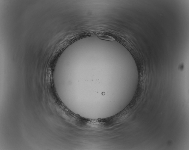 X0000115760231200911271124