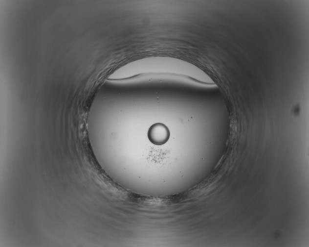 X0000115760237200911271123