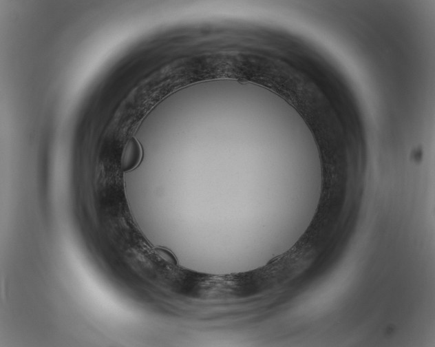 X0000115760239200911271123