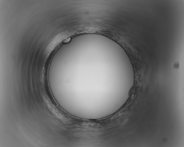 X0000115760242200911271123