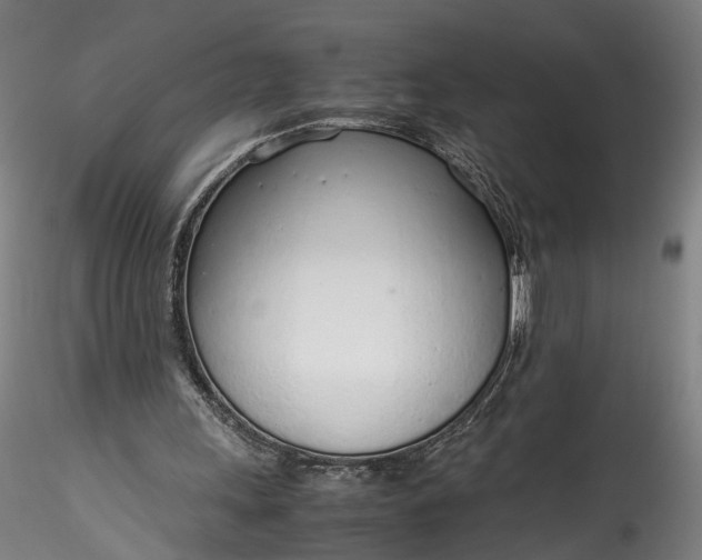 X0000115760243200911271123