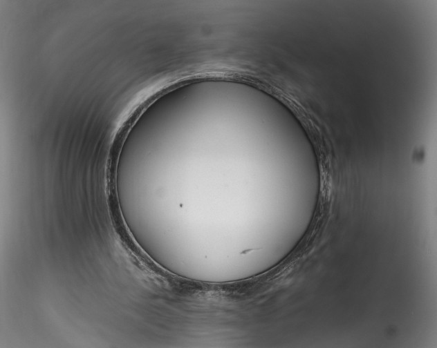 X0000115760244200911271123