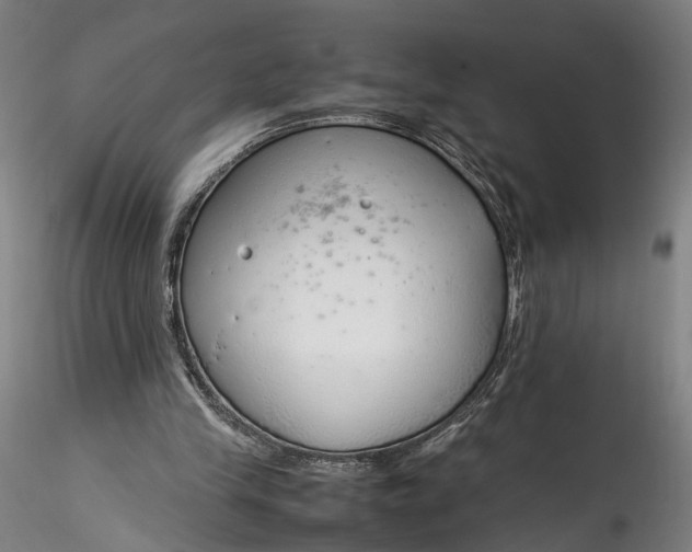 X0000115760245200911271123