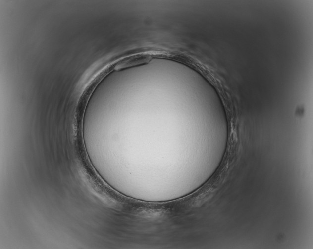 X0000115760247200911271123