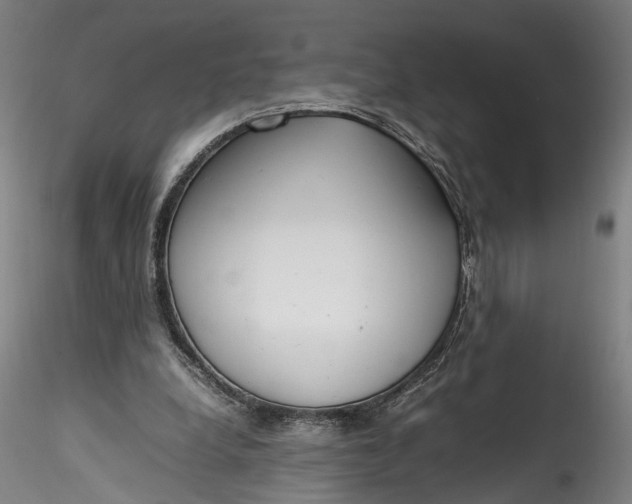 X0000115760248200911271123