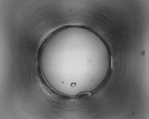 X0000115760252200911271123