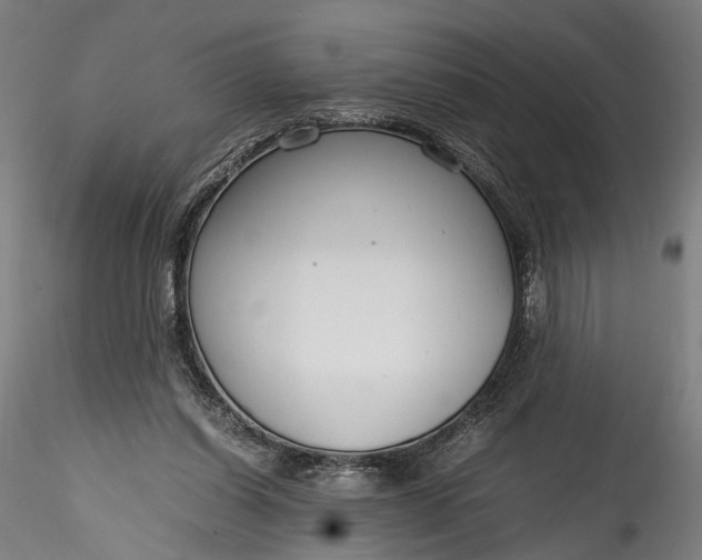 X0000115760254200911271123