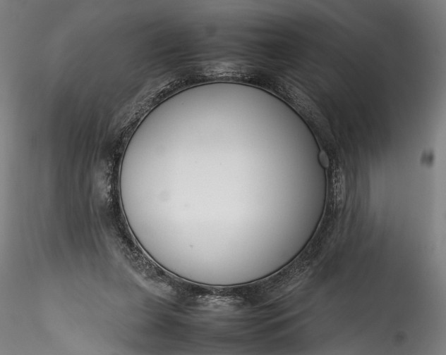 X0000115760255200911271123