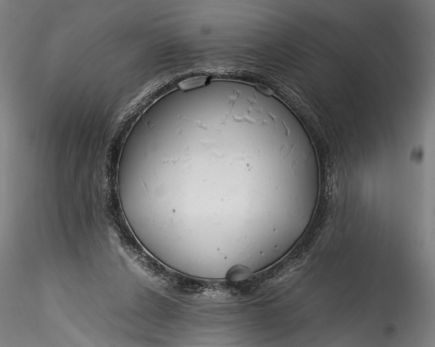 X0000115760256200911271123