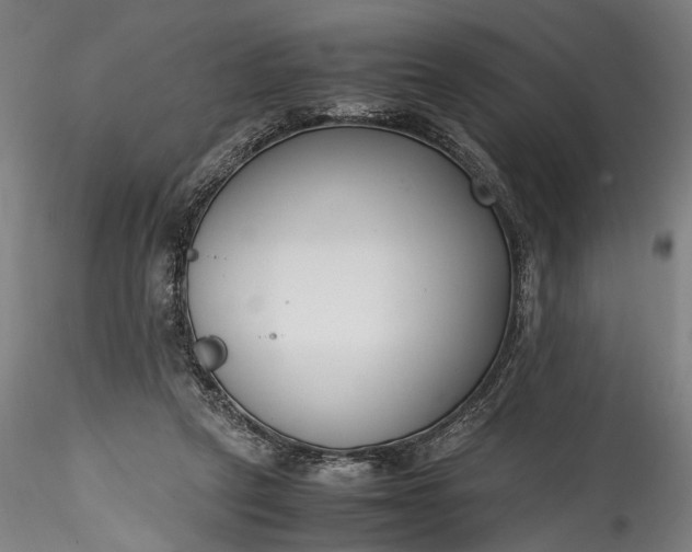 X0000115760257200911271123