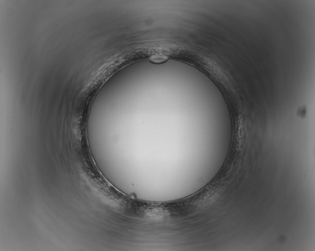 X0000115760258200911271123