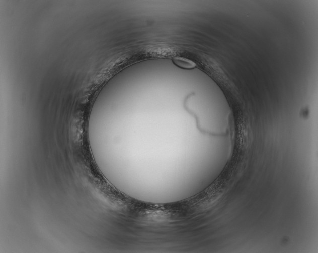 X0000115760259200911271123