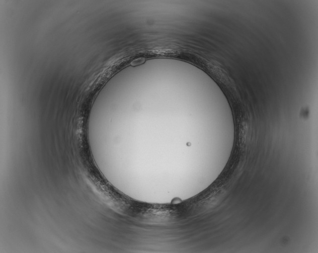 X0000115760260200911271123