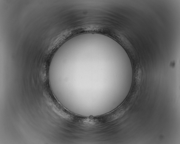 X0000115760261200911271123