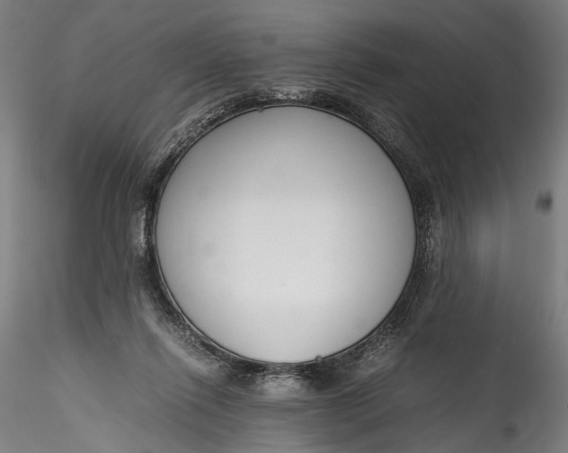 X0000115760262200911271123