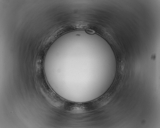 X0000115760263200911271123