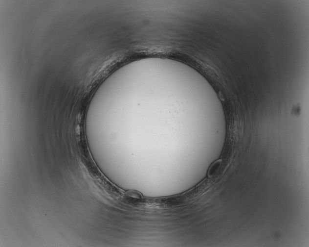 X0000115760264200911271123