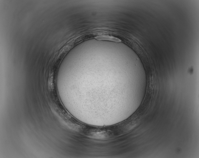 X0000115760267200911271123