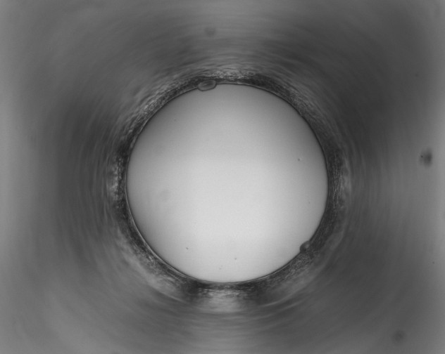 X0000115760268200911271123