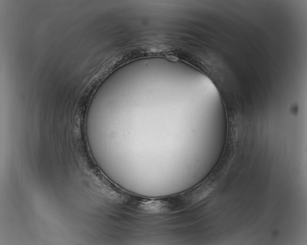 X0000115760269200911271123