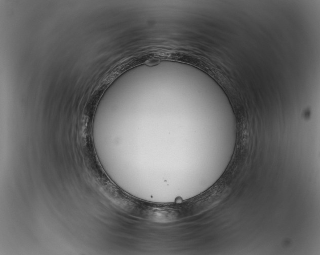 X0000115760275200911271123