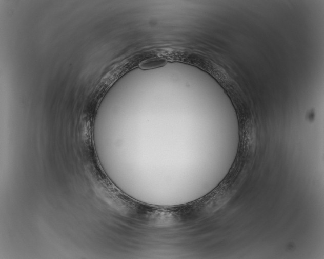 X0000115760276200911271123