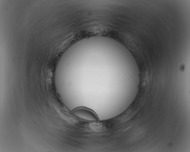 X0000115760279200911271123