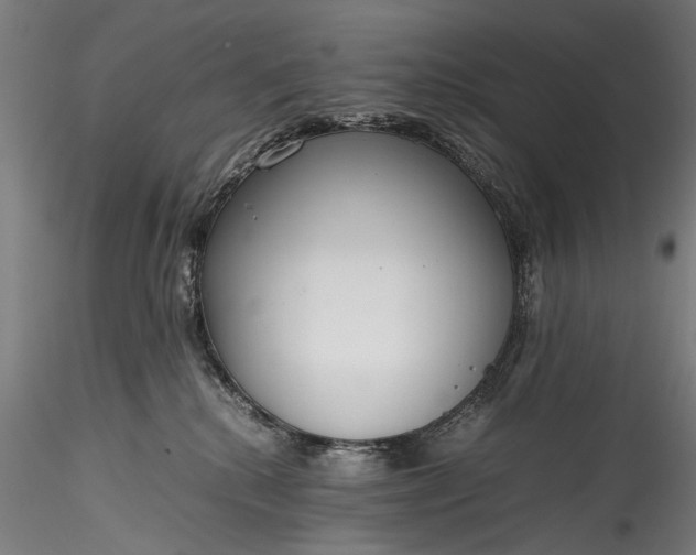 X0000115760280200911271123