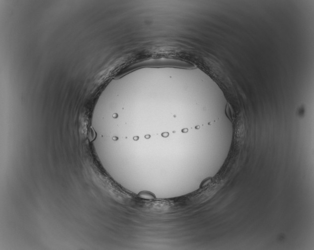 X0000115760282200911271123