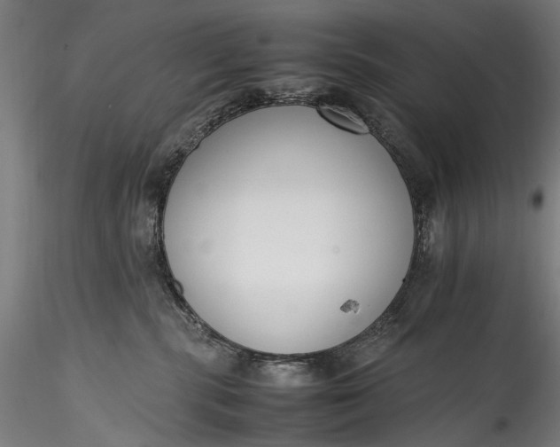 X0000115760283200911271123