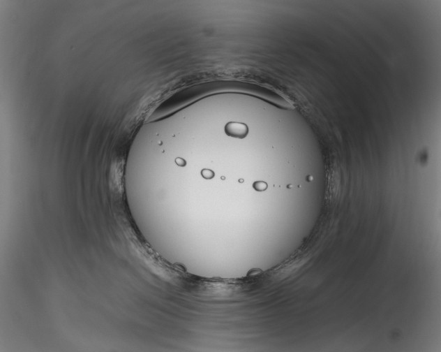 X0000115760286200911271123