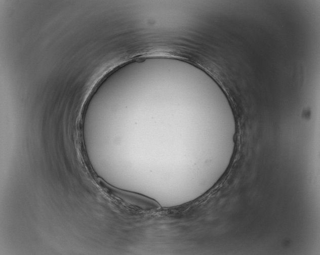 X0000115760289200911271123