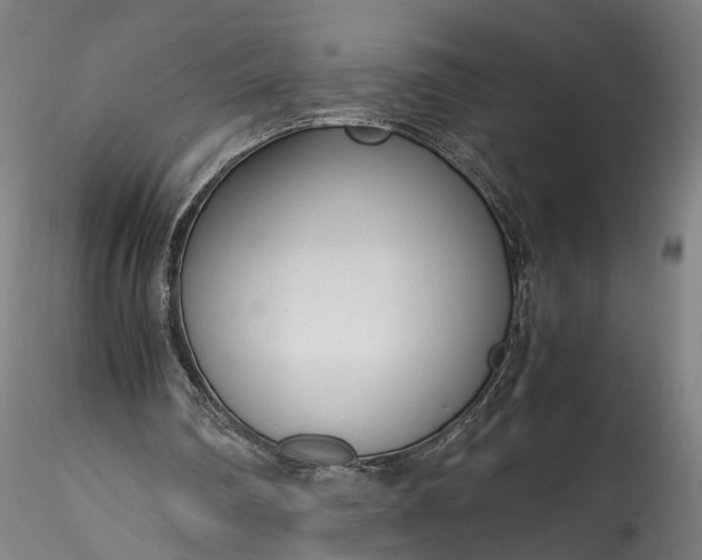 X0000115760290200911271123