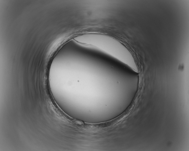 X0000115760293200911271123